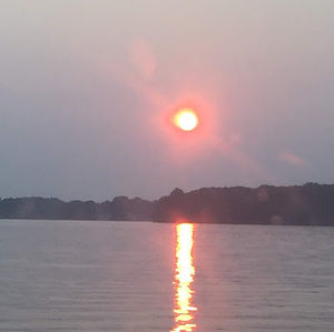 Meet your Posher, Sabatino